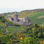 Vignobles de Provence