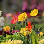 Jardin des Plantes