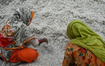 Deux femmes trient du plastique déchiqueté pour le recyclage