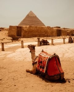 Chameau se reposant près de l'ancienne Grande Pyramide de Gizeh en Égypte, présentant une architecture et une culture emblématiques.
