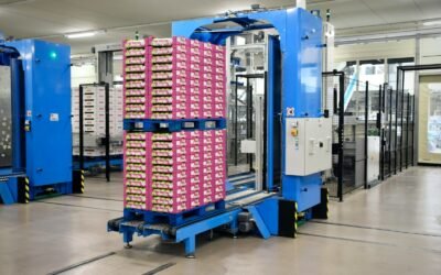 picking automatisé pour entrepôts modernes