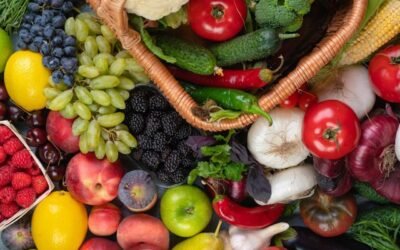 Alimentation durable et santé