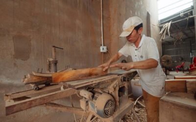 Homme en atelier, scie à table, planche de bois, sciage en cours